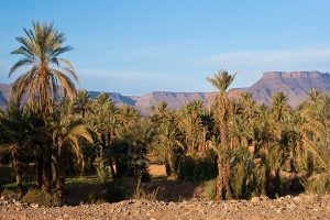 Read more about the article 3 days from Marrakech to Mhamid desert
