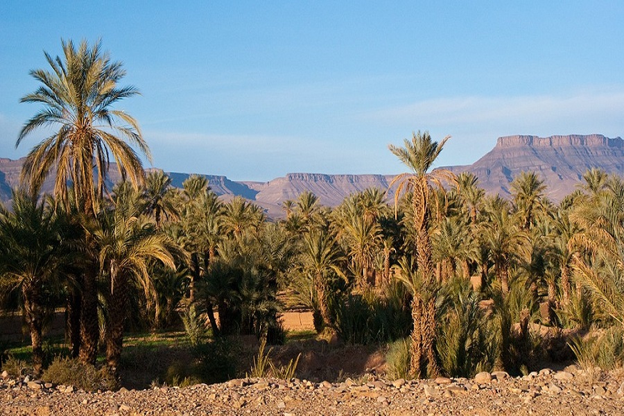Circuit 3 jours de Marrakech au désert M'hamid