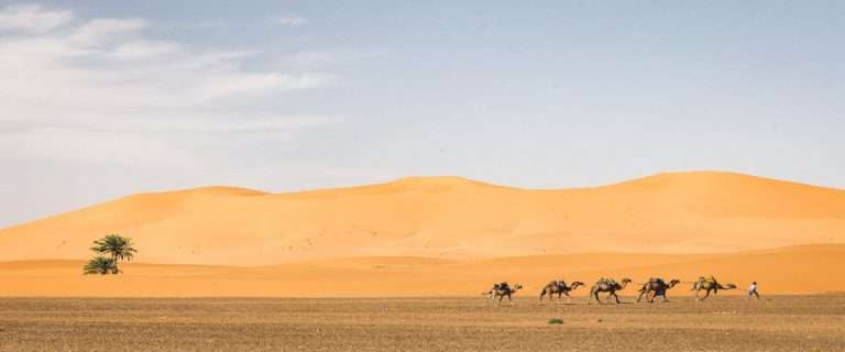 Read more about the article 3 Days Fes to Merzouga Desert Tour