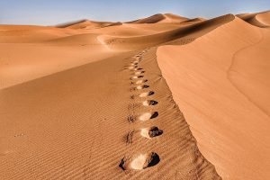 Lire la suite à propos de l’article Circuit désert au départ de Ouarzazate tout inclus 4 Jours