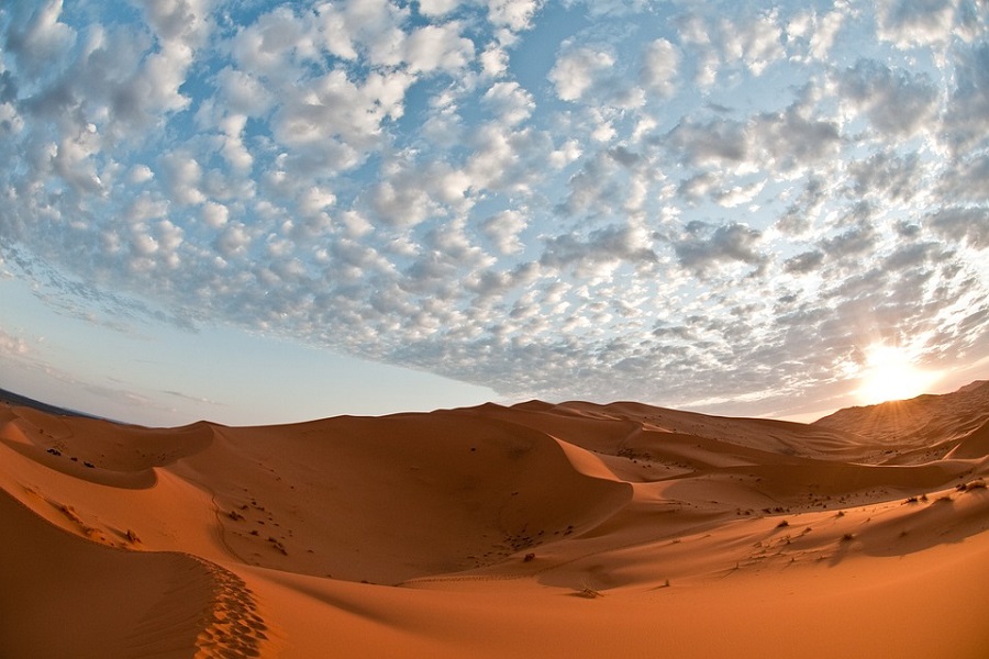 Lire la suite à propos de l’article 8 jours de Rabat au désert