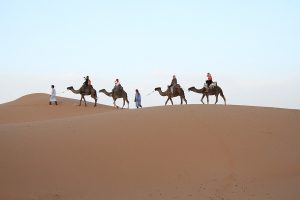 Read more about the article 11 days from Tangier to Marrakech and desert