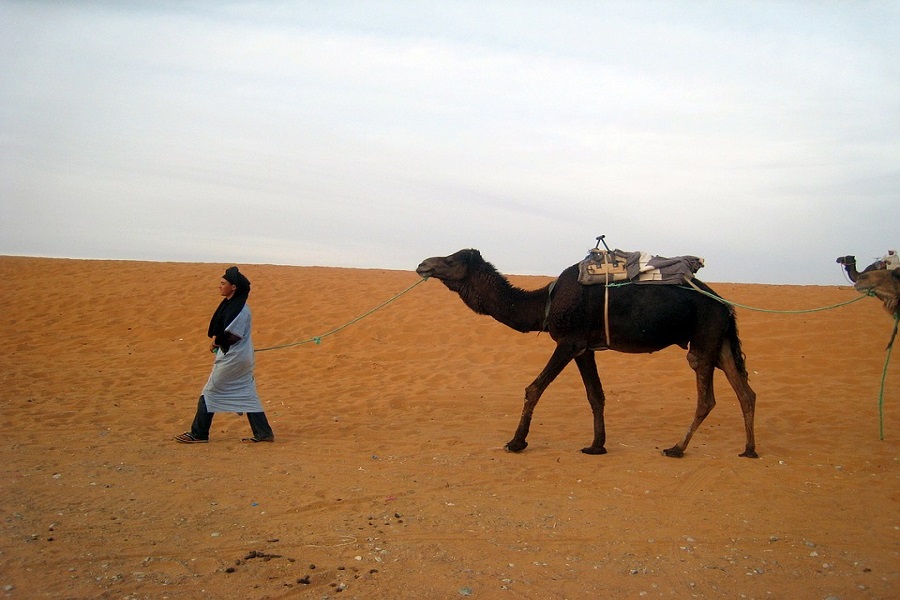 8 days of Tangier desert tour