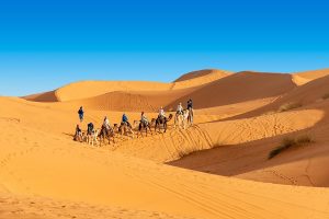 Lire la suite à propos de l’article 3 jours de Fès à Marrakech via désert