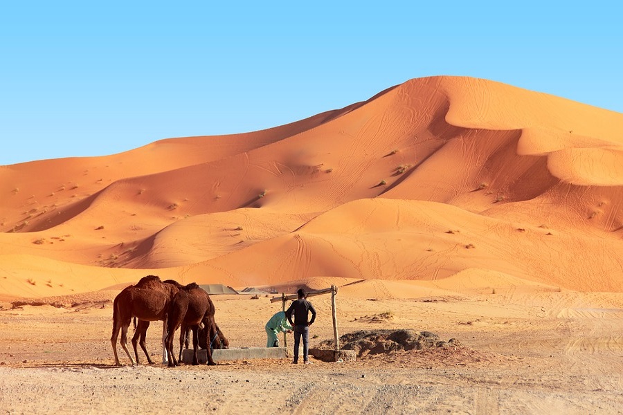 7 jours randonnée trek à Merzouga désert