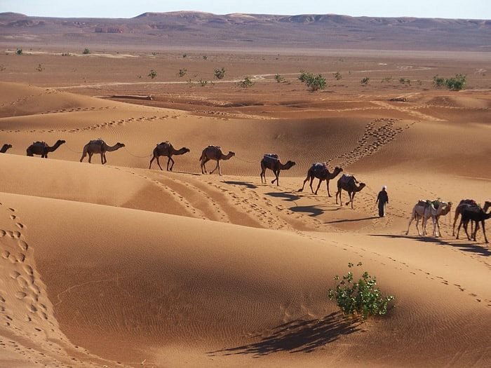 Lire la suite à propos de l’article 01 nuit dans le désert Agadir